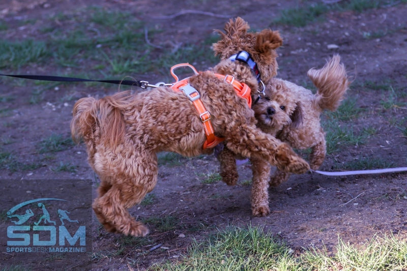 042125-Jefferson-@-Madison-SB-61-scaled