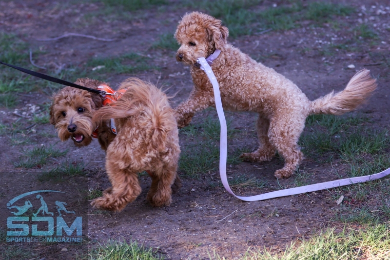 042125-Jefferson-@-Madison-SB-62-scaled