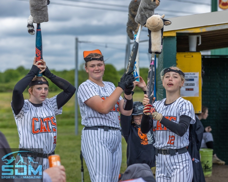 052425-St.-John-vs.-Chalker-SB-District-Final-48-scaled