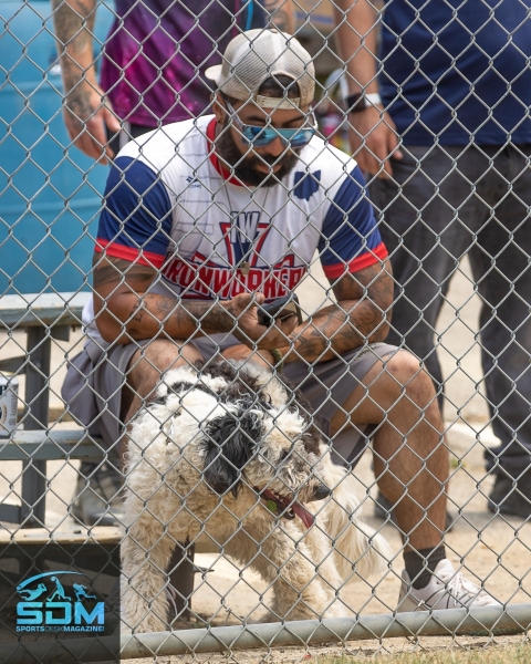 061123-Softball-City-Sunday-Coed-31