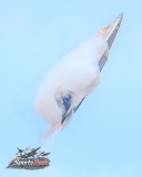 2026-CLE-Air-Show-1-138